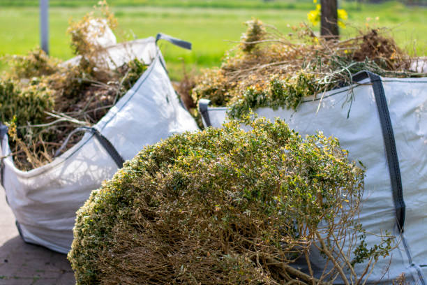 Best Junk Removal and Recycling  in Cordova, AL